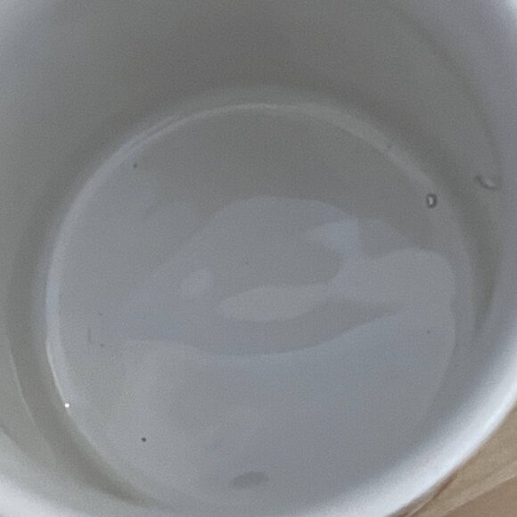 Prince Charles and Lady Diana wedding souvenir mug - Picture 6 of 6